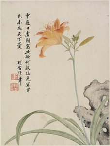 Day-Lily fra et blomsteralbum med ti blader, 1656 (blekk og farge på papir) av Shengmo Xiang