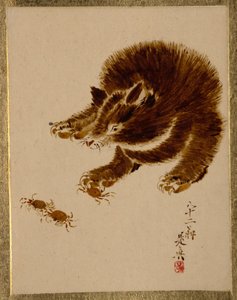  av Shibata Zeshin