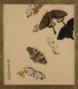 Lakkmalerier av forskjellige emner: Sommerfugler, datert 1881. av Shibata Zeshin