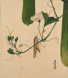 Lakkmalerier av forskjellige emner: Grasshopper on Gourd Vine, 1882.