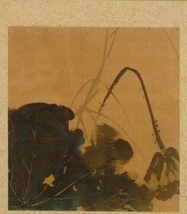 Lotus fra Album of Paintings av den ærverdige Zeshin av Shibata Zeshin