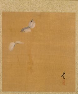 Moths fra Album of Paintings av den ærverdige Zeshin av Shibata Zeshin