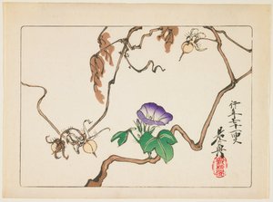  av Shibata Zeshin