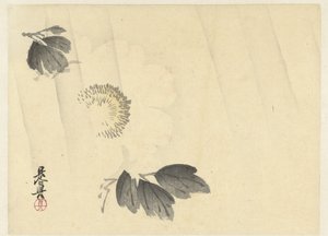 Hvit peon i regnet av Shibata Zeshin