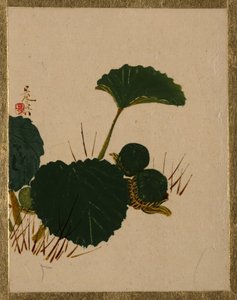 Orm på grønnbladplante. av Shibata Zeshin