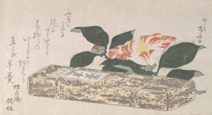 Camellia Flower og Yokan en slags bønnegelé pakket inn i bambusskinn, 1811., 1811. av Shinsai