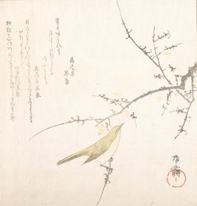 Nymåne, nattergal på en plommegren, 1800-tallet., 1800-tallet. av Shinsai