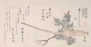Young Pine Tree and the Handle of a Plough, 1800-tallet., 1800-tallet. av Shinsai