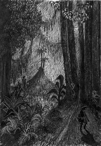 Pirat i regnskogen, 1953. av Shirley Markham