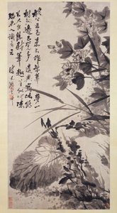 Hibiscus, Lotus og Rock, ca. 1705-7.