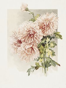  av Sidney Thomas Callowhill