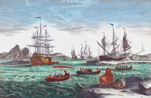 Hvalfangstflåten utenfor Grønland på 1700-tallet (gravering)