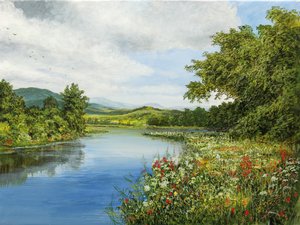 Stille landskap