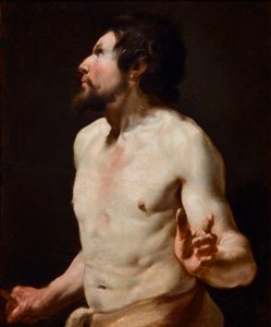Studie av torso-maleri fra skolen til Simon Vouet (1590-1649) (maleri) av Simon (circle of) Vouet