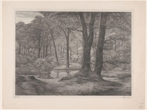 Skog med dam og liggende mann Teutoburgerskogen (skogsutsikt) (original tittel)