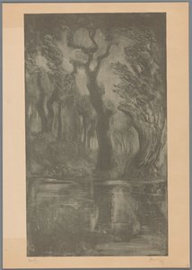 Vann i skogen Dream Forest (original tittel) av Simon Moulijn (signed by artist)
