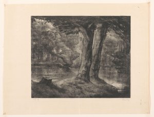Vann i en skog Forest view (original tittel) av Simon Moulijn (signed by artist)