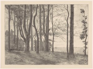 Trær ved vannet med seilbåter Valkeveen (original tittel) av Simon Moulijn