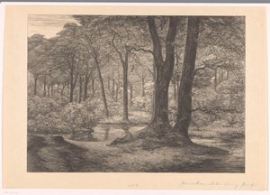 Utsikt over Hunnenschans på Veluwe The Hunnenschang (original tittel) av Simon Moulijn