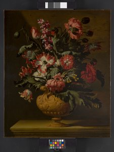 En vase med blomster, før 1710 av Simon Peeterz Verelst