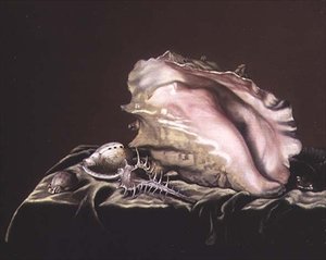 Stilleben av Shells