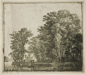 Skog nær en kanal av Simon de Vlieger