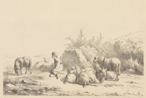 Hyrde og sau
