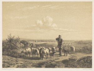 Hyrde med sauene sine på heia