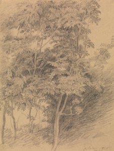 Trestudie av Sir David Wilkie