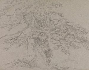 Trestudie av Sir George Howland Beaumont seventh Baronet