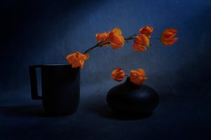  av Siyu_Wei APA