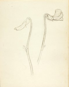  av Solon H. Borglum