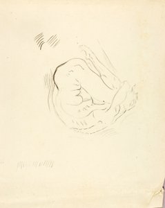  av Solon H. Borglum