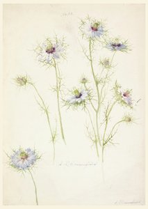  av Sophia L. Crownfield