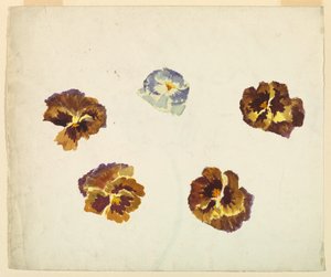 Ikke sant av Sophia L. Crownfield