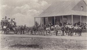 Et nytt transportmiddel, sebraer for å tegne posttreneren (s/hvitt-bilde) av South African Photographer