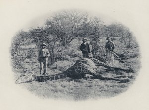 Storviltjakt i Transvaal (s/hvitt bilde)