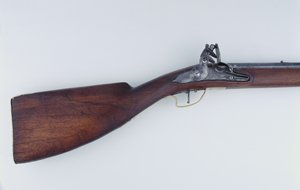 Bobbejaanbout (bavian lårrumpe) muskett