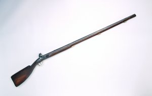 Bobbejaanbout (bavian lårrumpe) muskett