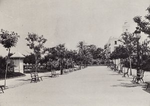 Cadiz: Alameda de Apodaca (s/hvitt bilde)