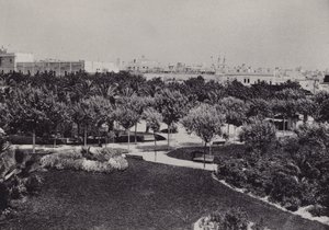 Cadiz: Parque Genoves (s/hvitt bilde) av Spanish Photographer