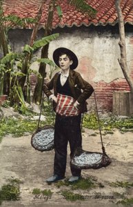Fiskeselger, Malaga, Spania (fargebilde) av Spanish Photographer