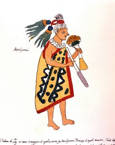 Aztekerprest i Codex Vaticanus 3738 (Codex Vat. Rios). Faksimile av manuskriptet av dominikaneren Pedro de los Rios, mellom 1570 og 1589, Bibl. Vatikanet. av Spanish School