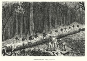 Bygging av kanoen Livingstone, Kongo (litho) av Spanish School