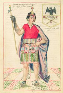 Illustrasjon av Cincheroca, fra 