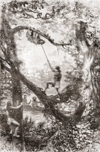 Innfødte indianere fanger et tredovendyr ved elven Oyapock eller Oiapoque, Sør-Amerika av Spanish School