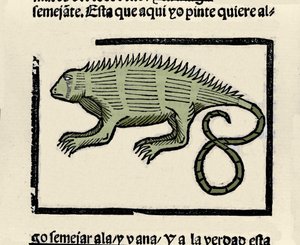 Representasjon av en leguan. Gravering fra boken "General history of the Indias, islands and fastland of the ocean sea"" av Gonzalo Fernandez de Oviedo (Gonzalo) eller Fernandez de, ou Hernandez de Oviedo y Valdes (1478-1557) av Spanish School