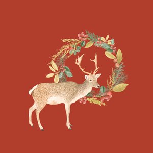 Holiday Deer, 2021 (grafittblyant og digital) av Stacy Hsu
