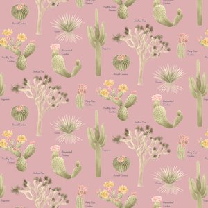 Mojave Desert Cacti-mønster, 2021 (grafittblyant og digital) av Stacy Hsu