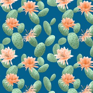 Prickly pear kaktusmønster, 2021 (grafittblyant og digital) av Stacy Hsu